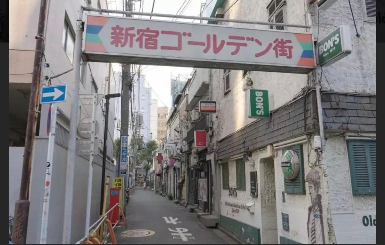 新宿市中心日式样式公寓，紧邻商业地域韩国街免费wi-fi * Tokio